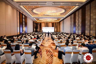 洞察市場，賦能決策 同策房產咨詢股份的房地產咨詢之路